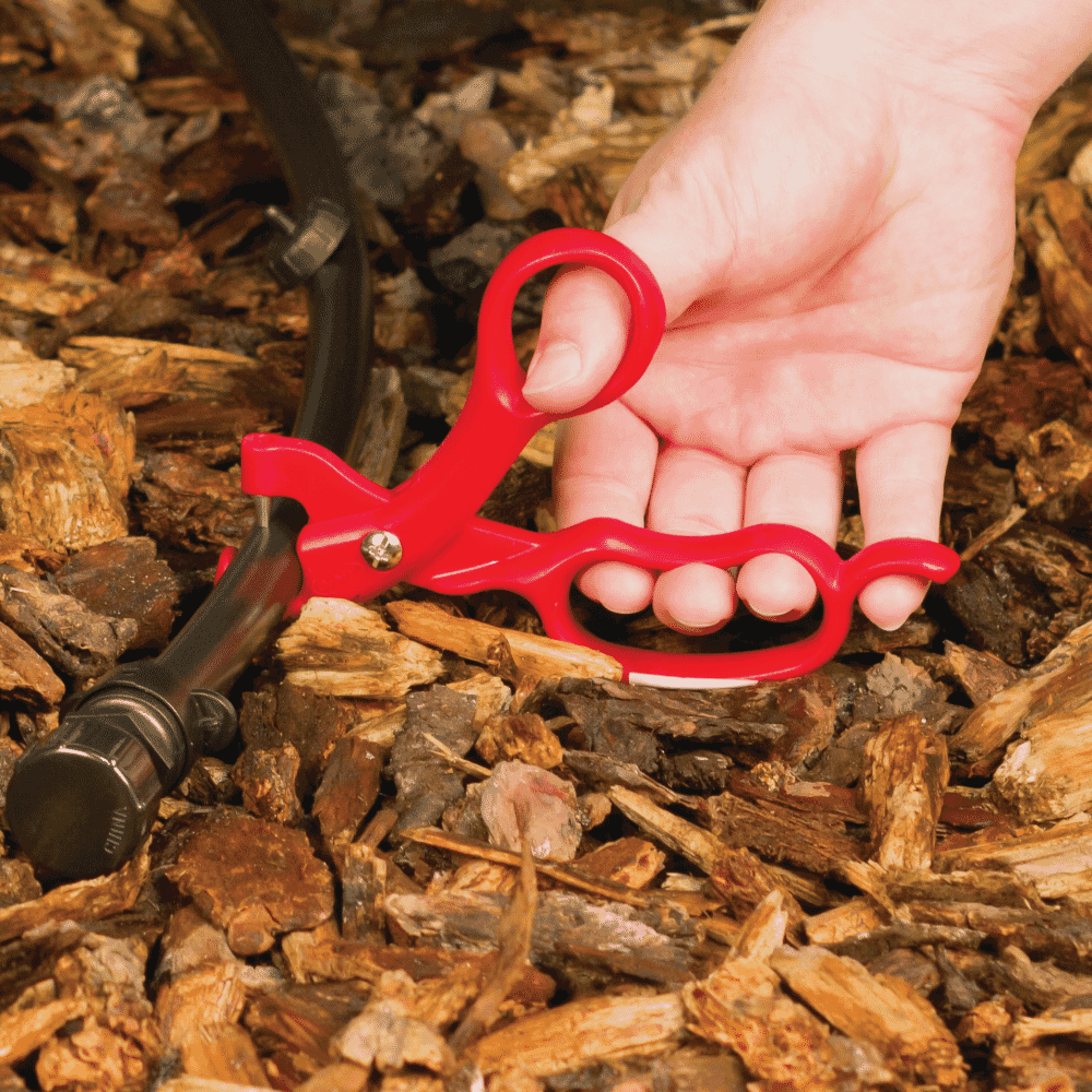 Alternative view of HRZ-PG