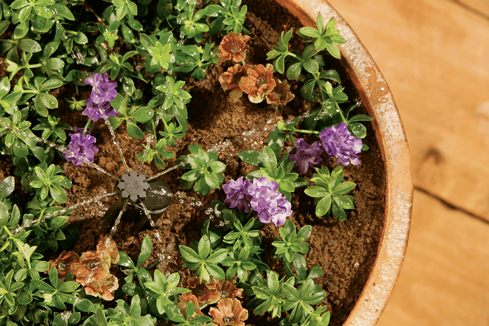 Alternative view of Micro Spray