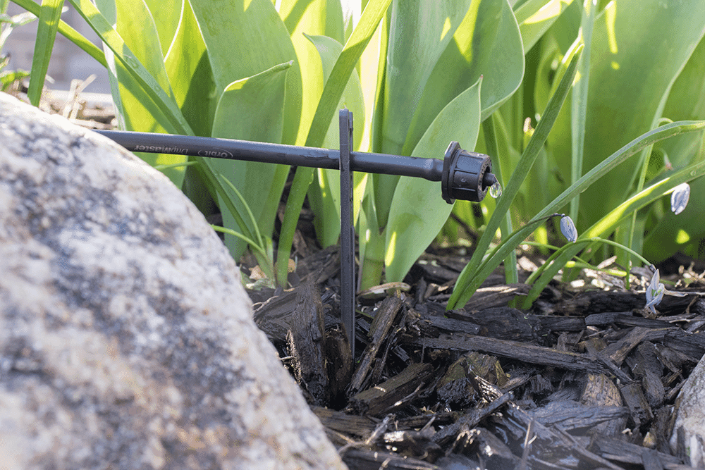 Alternative view of Point Source Drippers