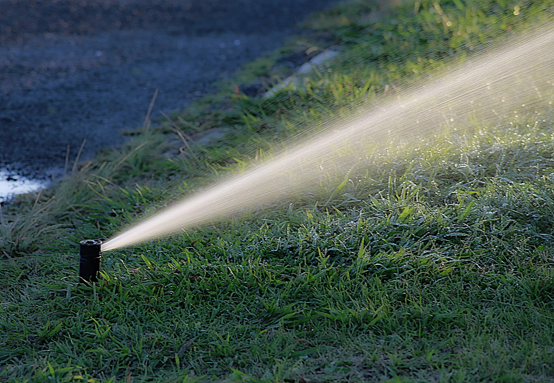 Sprinkler watering a lawn