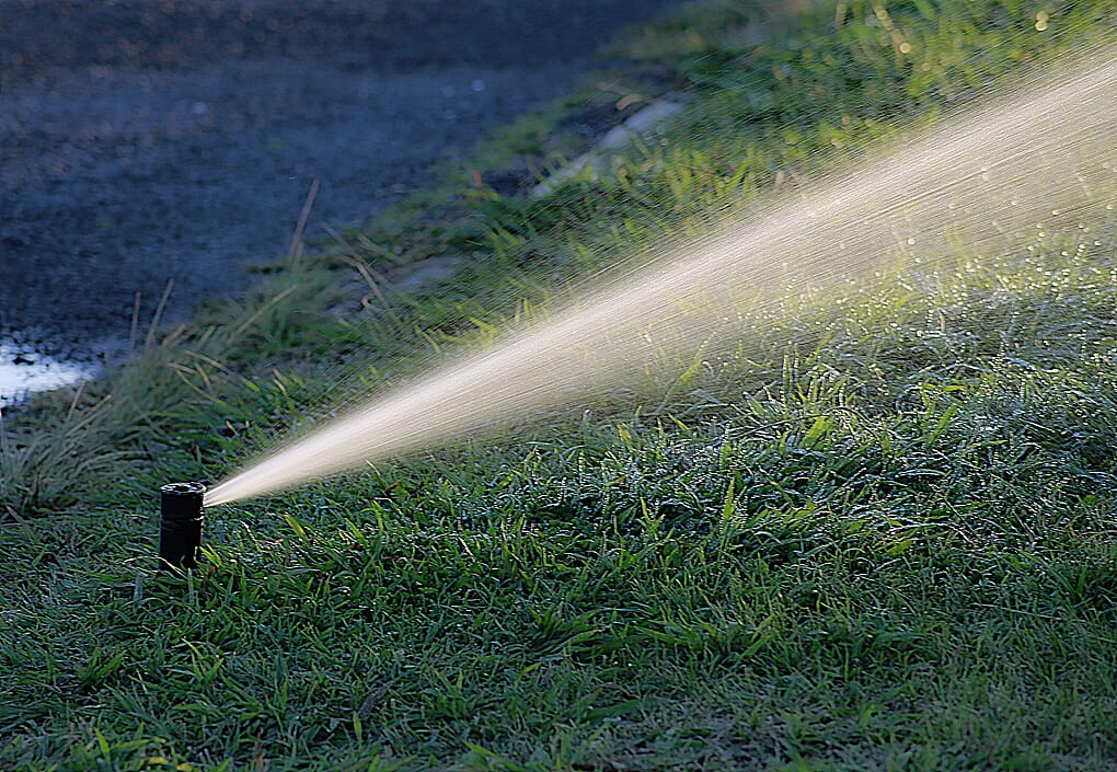 Sprinkler watering a lawn