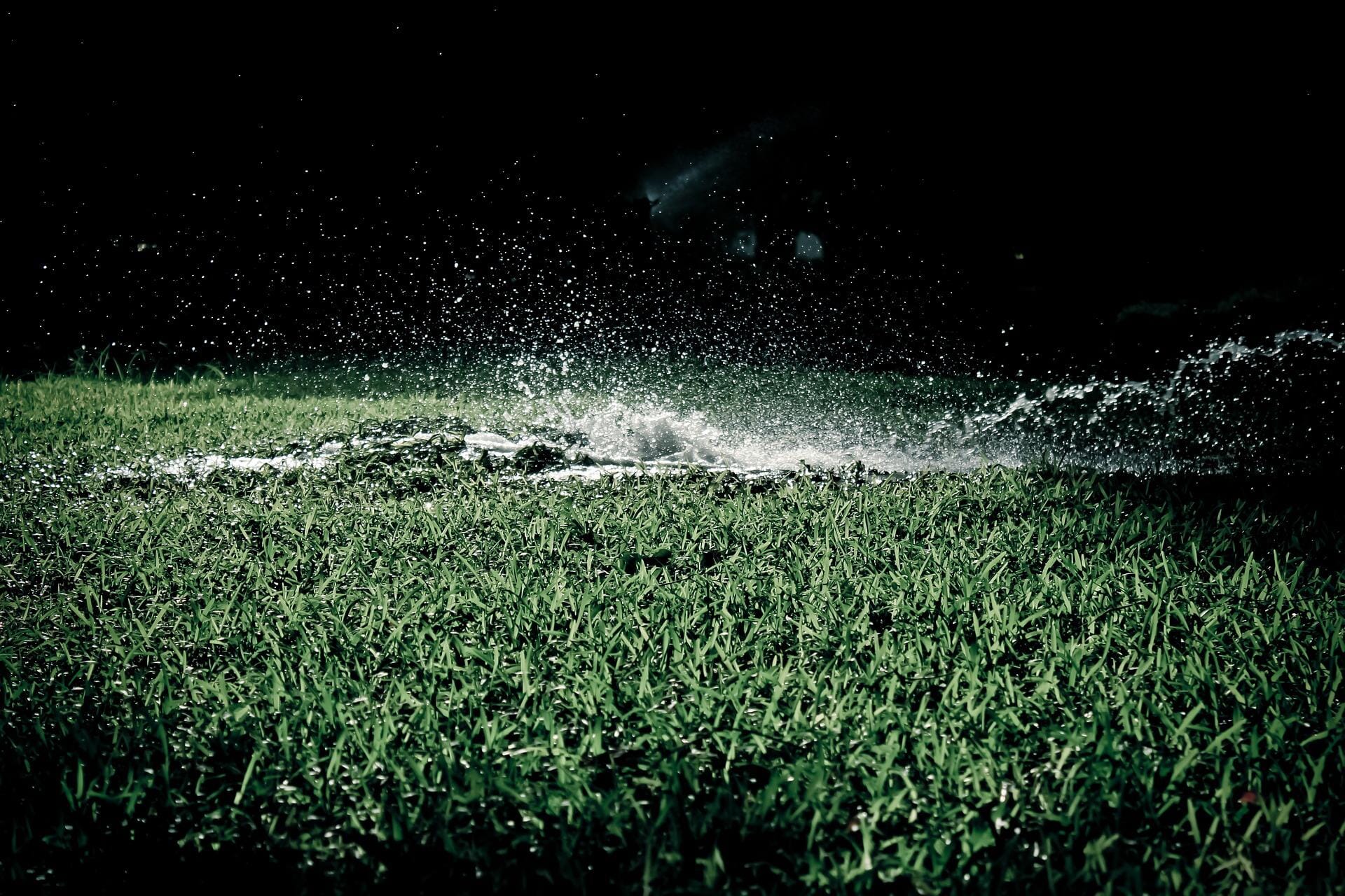 A broken sprinkler is pooling water on green grass.