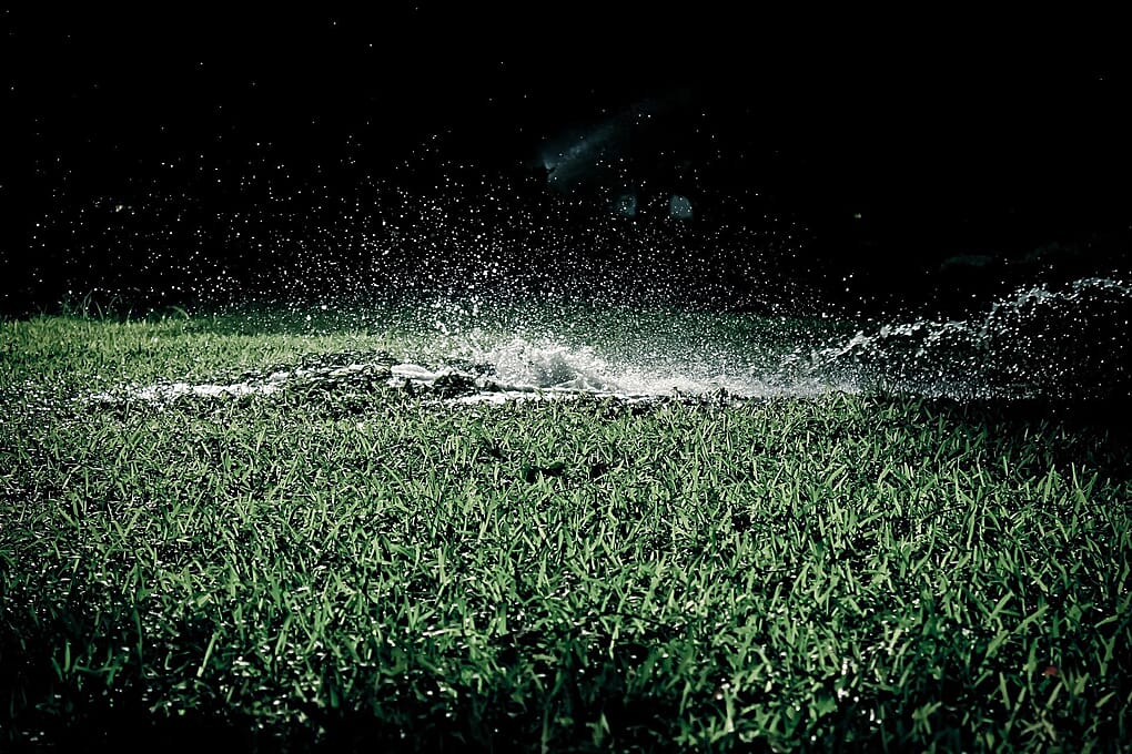 A broken sprinkler is pooling water on green grass.