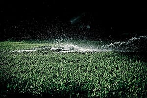 A broken sprinkler is pooling water on green grass.