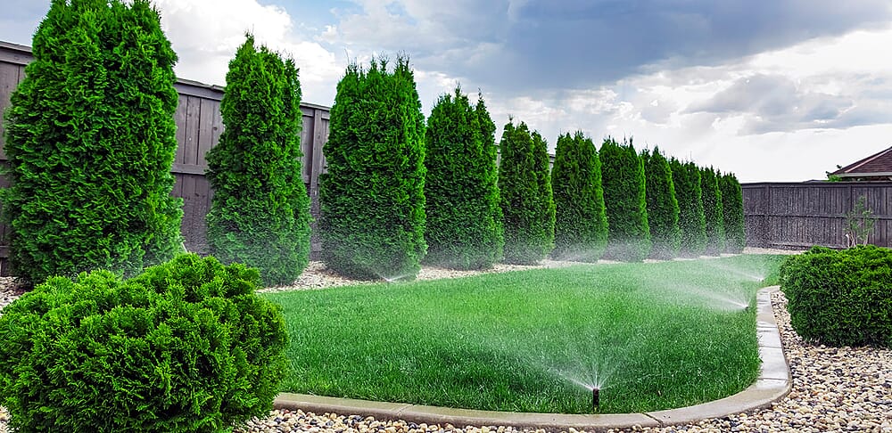 sprinkler-grass