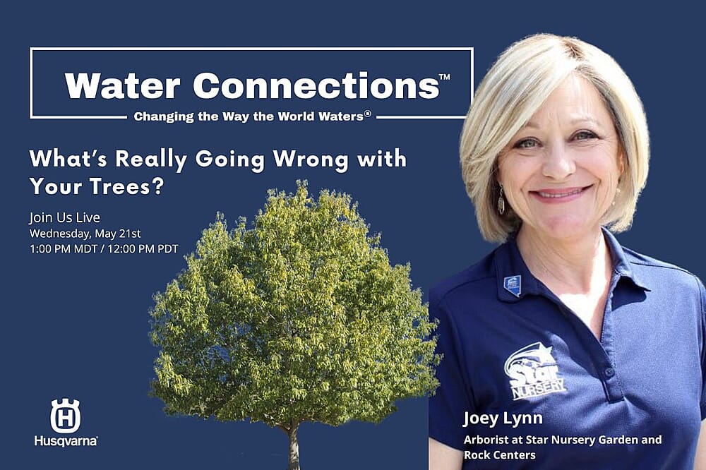 What’s Really Going Wrong with Your Trees?